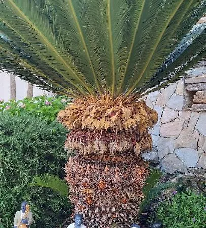דירה Riviera *